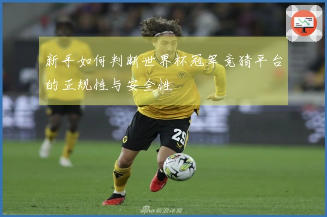 新手如何判断世界杯冠军竞猜平台的正规性与安全性