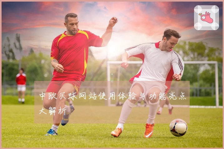 中欧买球网站使用体验与功能亮点大解析