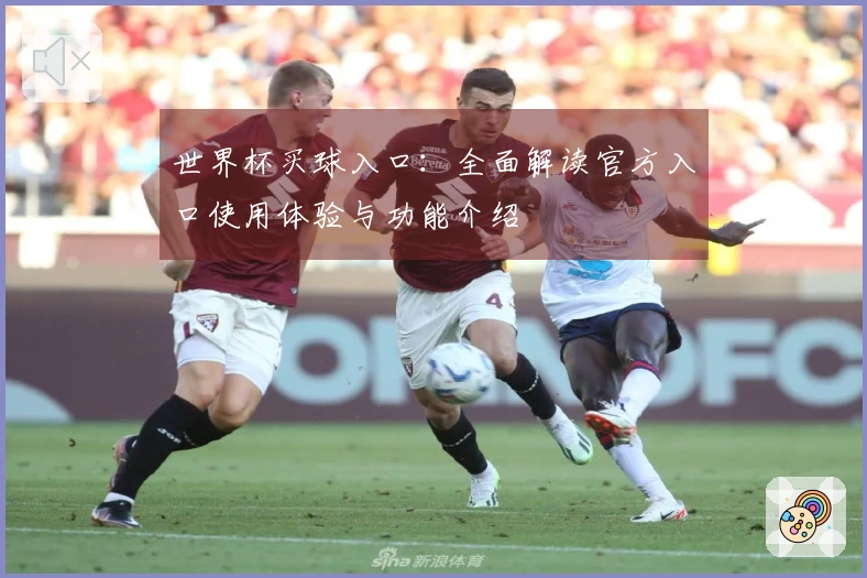 世界杯买球入口：全面解读官方入口使用体验与功能介绍