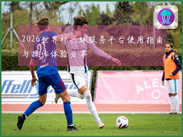 2026世界杯买球服务平台使用指南与操作体验分享