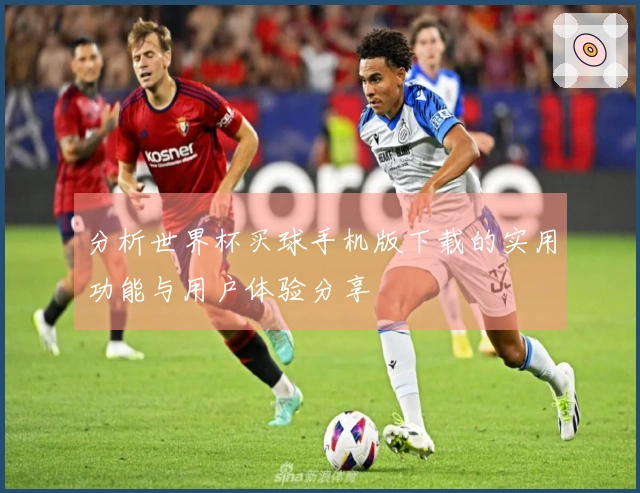 分析世界杯买球手机版下载的实用功能与用户体验分享