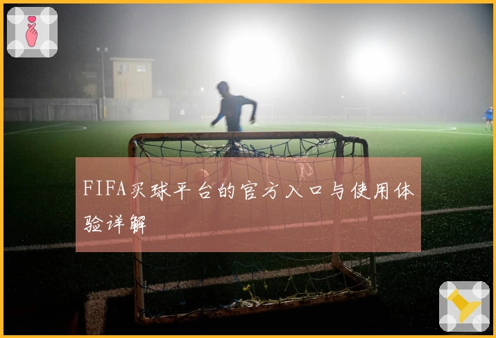 FIFA买球平台的官方入口与使用体验详解