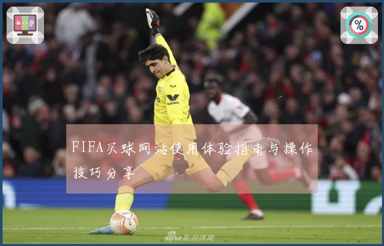 FIFA买球网站使用体验指南与操作技巧分享