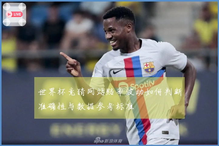 世界杯竞猜网站赔率波动如何判断准确性与数据参考标准