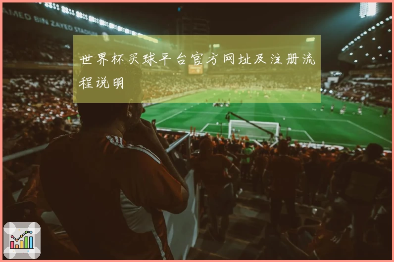 世界杯买球平台官方网址及注册流程说明