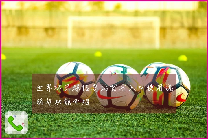 世界杯买球信息站官方入口使用说明与功能介绍