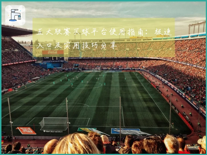 五大联赛买球平台使用指南：极速入口及实用技巧分享