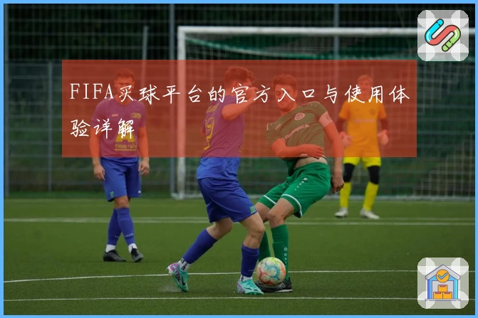 FIFA买球平台的官方入口与使用体验详解