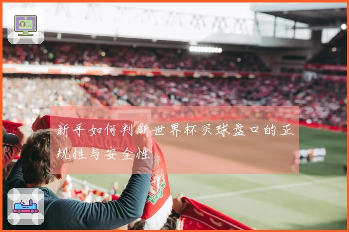 新手如何判断世界杯买球盘口的正规性与安全性